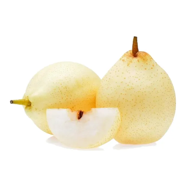 Груша белая