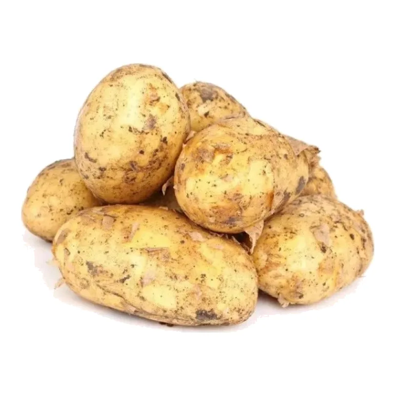 Картофель молодой