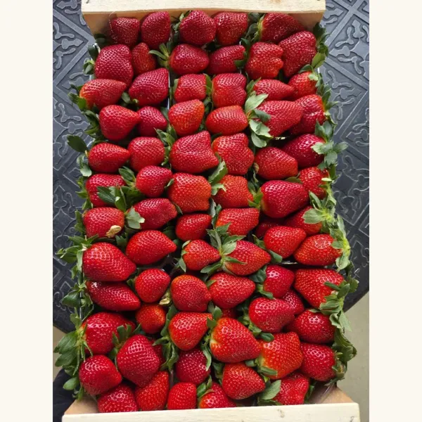 Клубника отборная