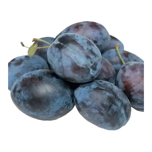 Слива чёрная